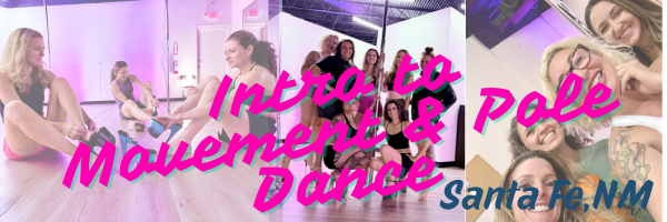 Intro to Movement & Pole Dance Feb 26